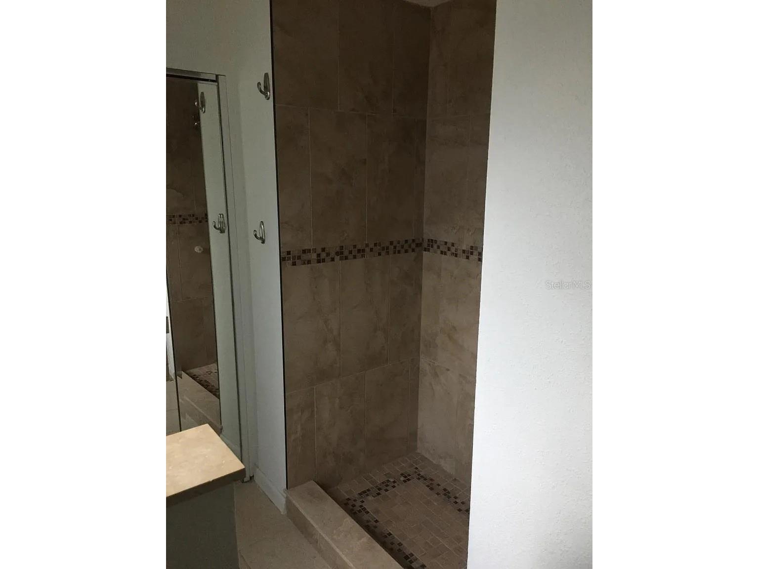 3115 Winchester Drive Dunedin FL 34698 TB8465144 image8