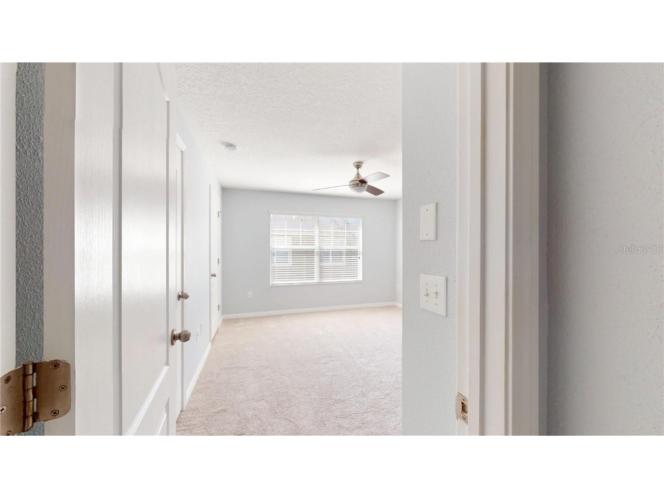 31150 Gossamer Way Wesley Chapel FL 33543 TB8451578 image21