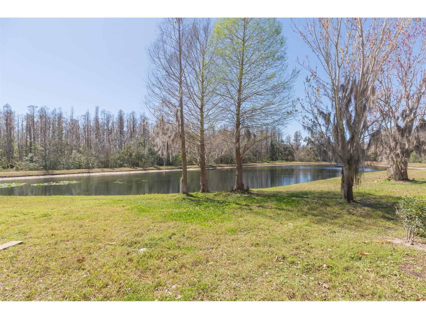 31154 Flannery Court Wesley Chapel FL 33543 TB8478146 image30