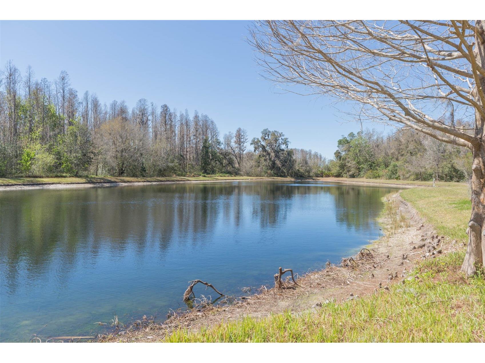 31154 Flannery Court Wesley Chapel FL 33543 TB8478146 image31