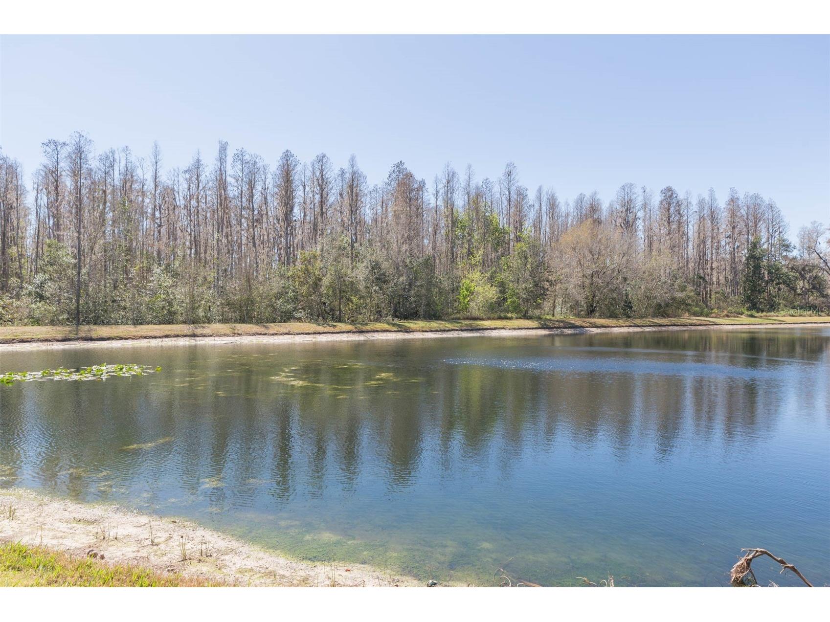 31154 Flannery Court Wesley Chapel FL 33543 TB8478146 image32
