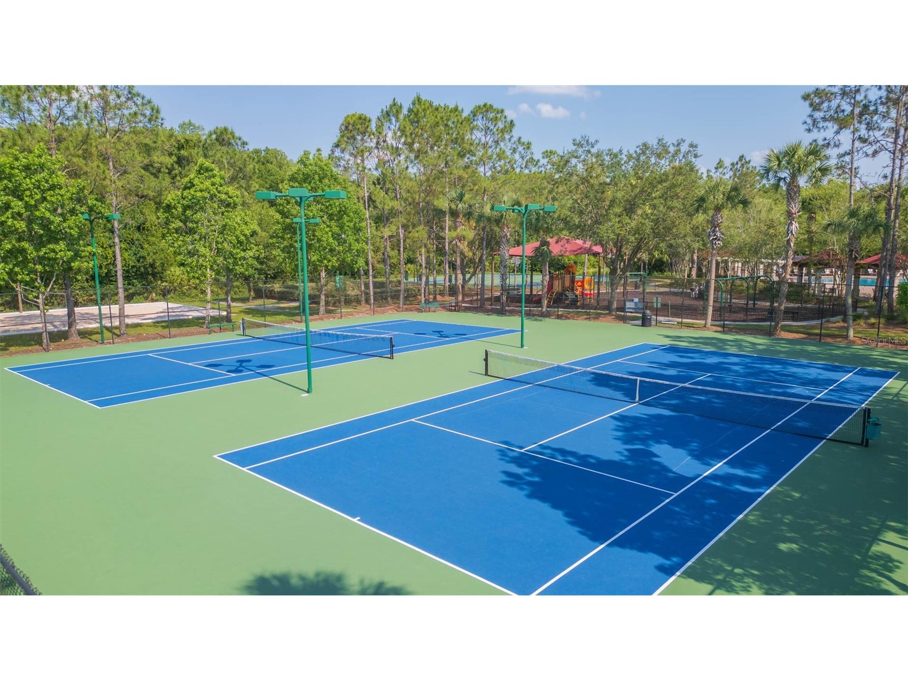 31154 Flannery Court Wesley Chapel FL 33543 TB8478146 image34