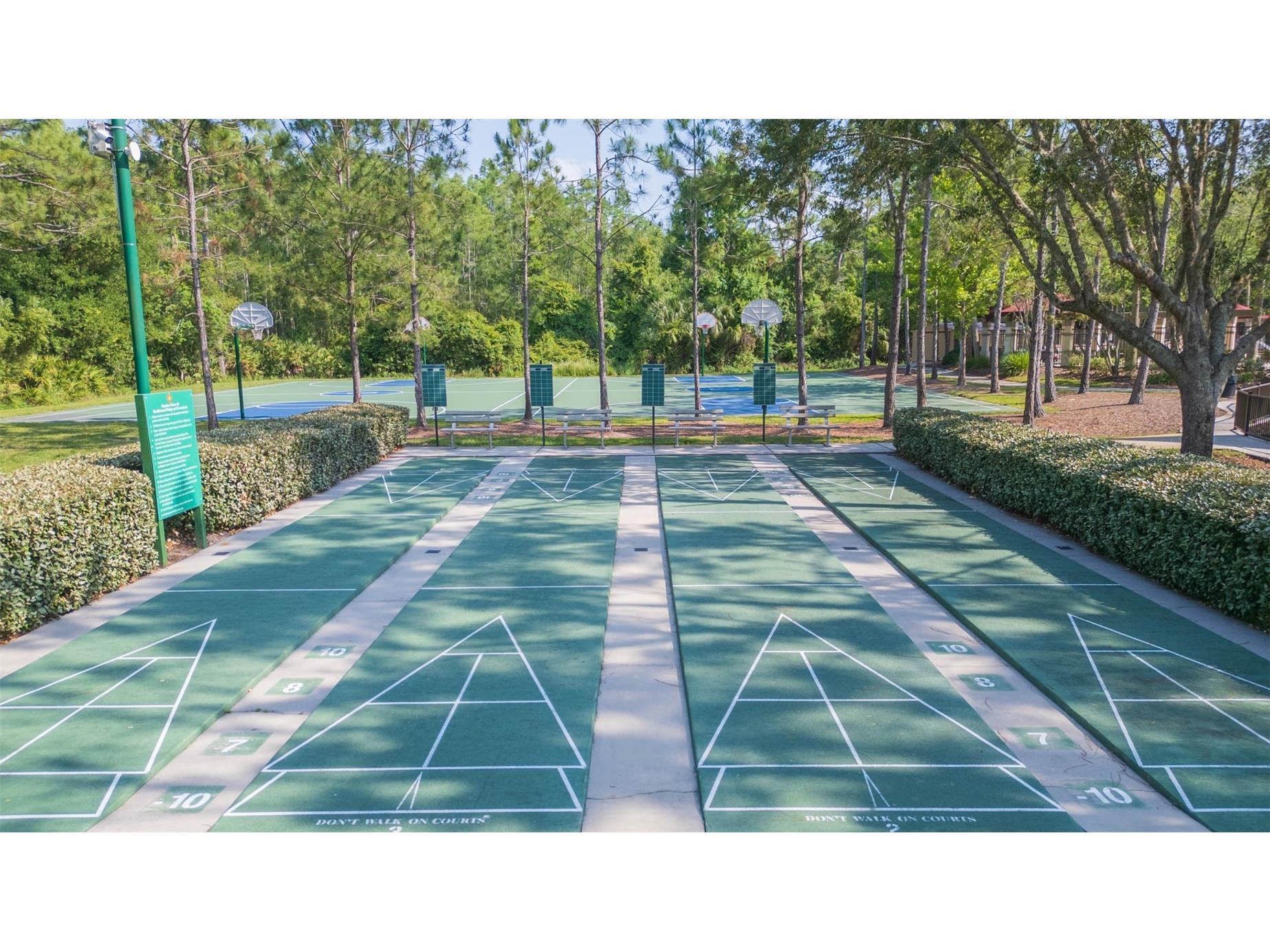 31154 Flannery Court Wesley Chapel FL 33543 TB8478146 image36