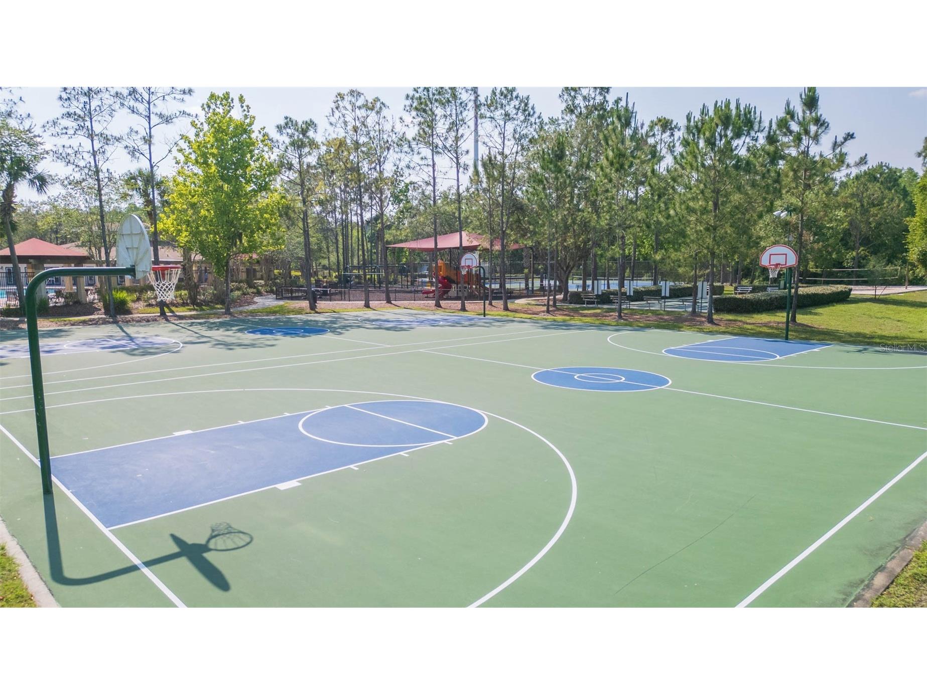 31154 Flannery Court Wesley Chapel FL 33543 TB8478146 image38