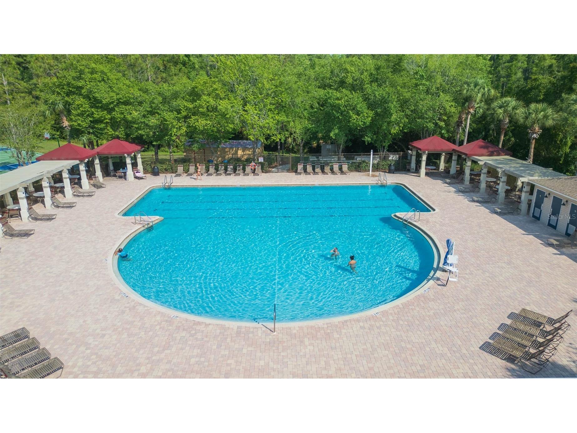 31154 Flannery Court Wesley Chapel FL 33543 TB8478146 image39