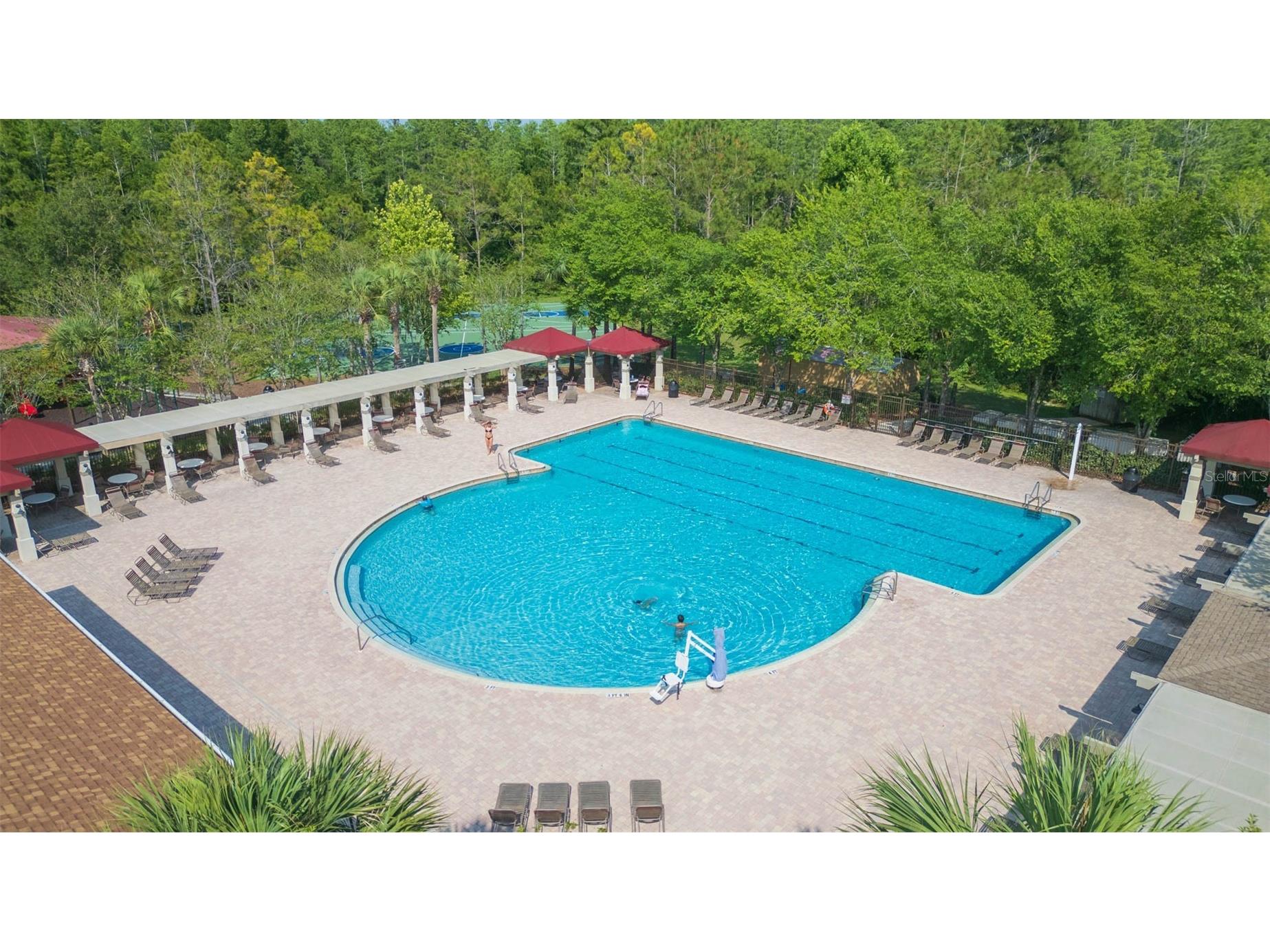 31154 Flannery Court Wesley Chapel FL 33543 TB8478146 image40