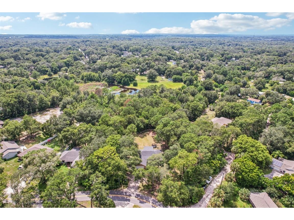 31154 Lochmore Circle Sorrento FL 32776 O6357288 image27