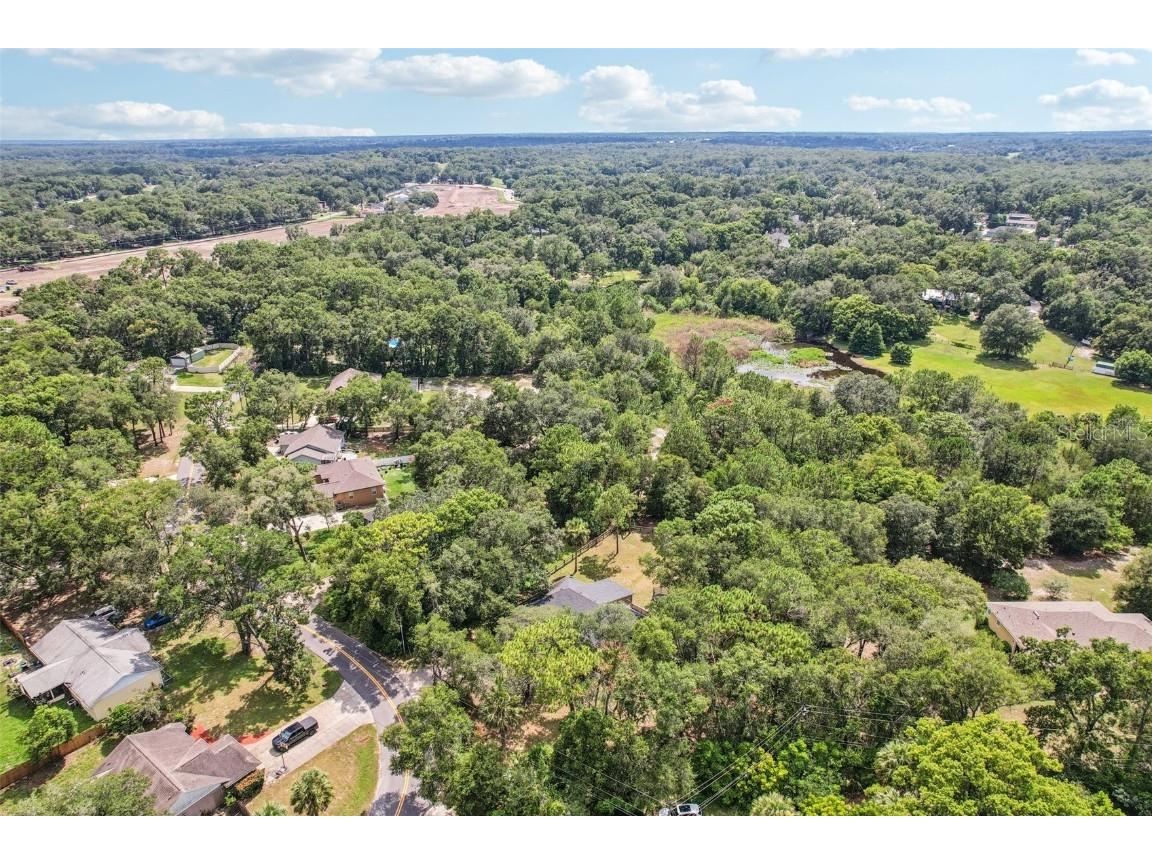 31154 Lochmore Circle Sorrento FL 32776 O6357288 image28