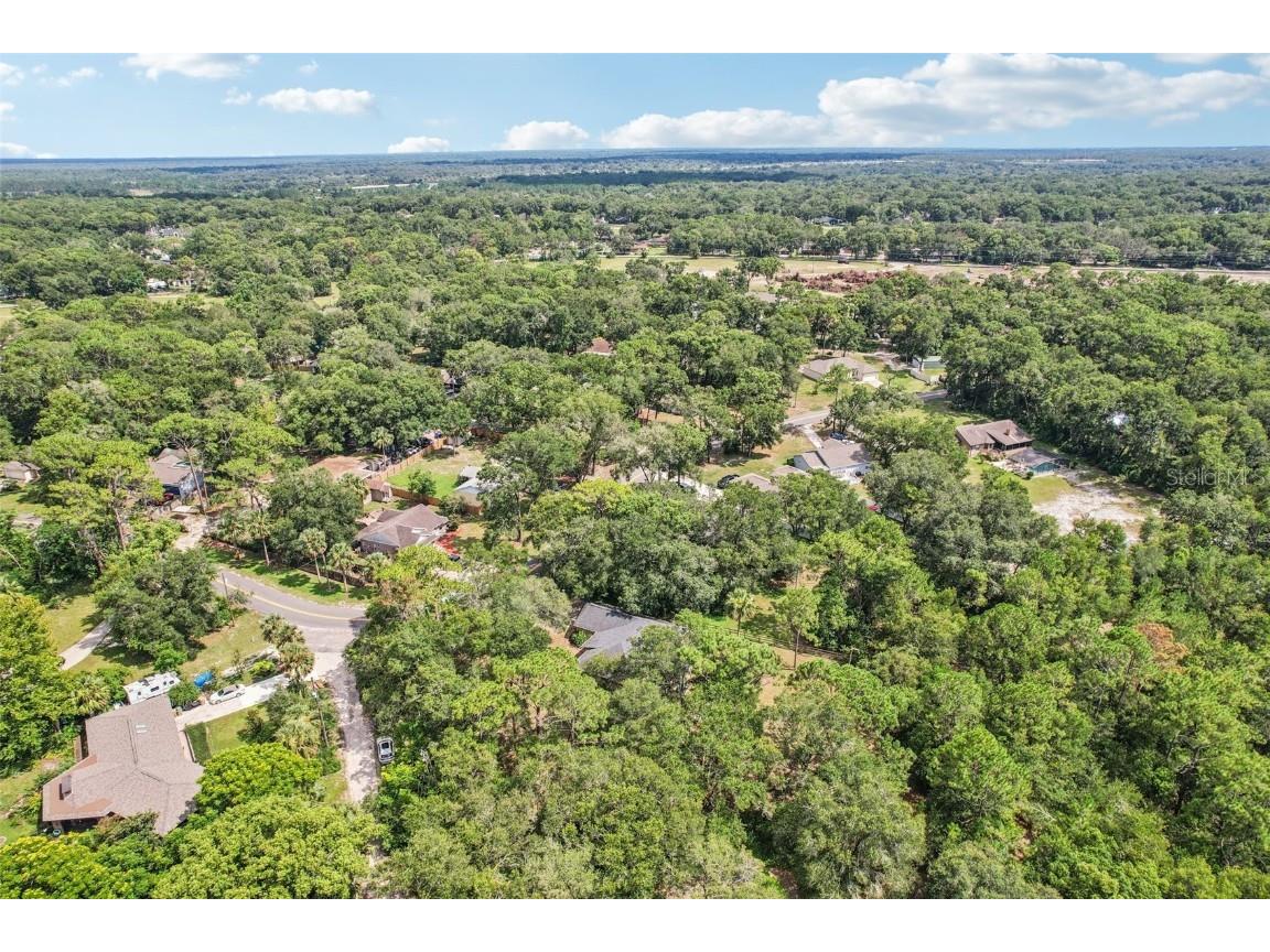 31154 Lochmore Circle Sorrento FL 32776 O6357288 image29