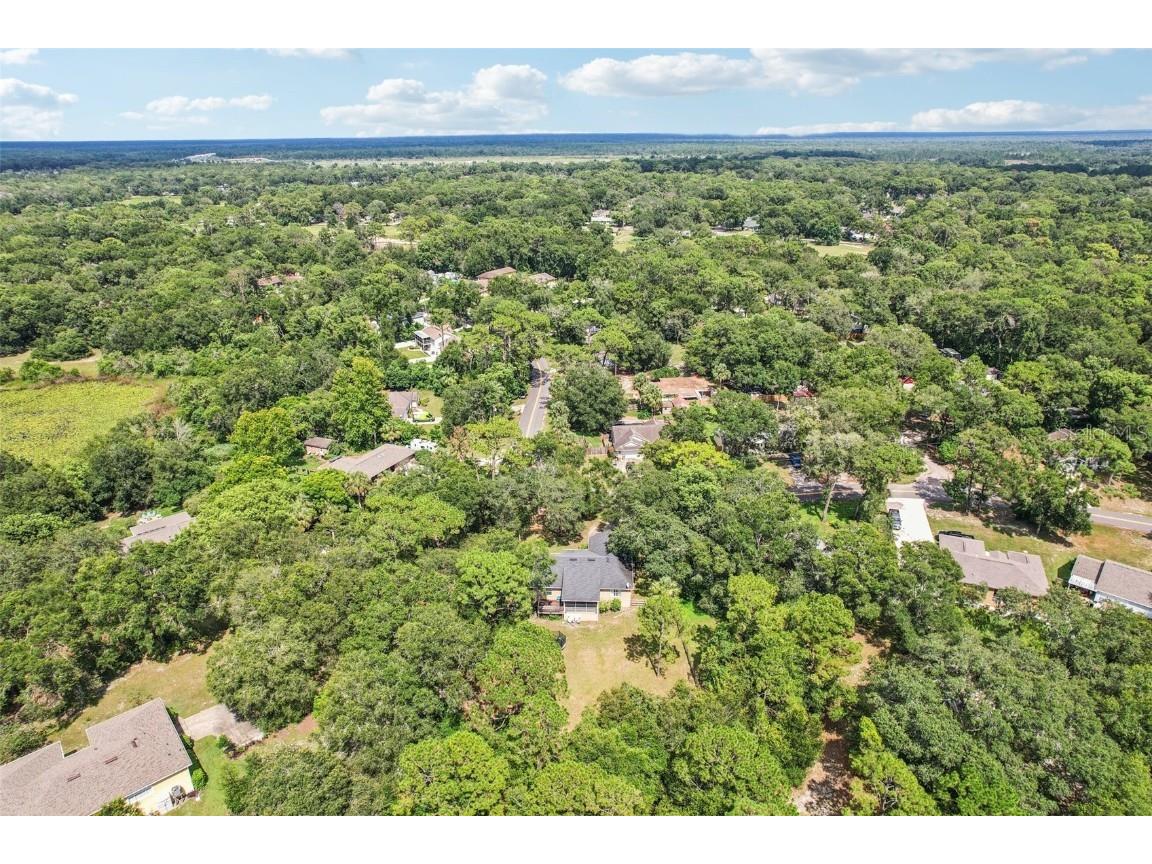 31154 Lochmore Circle Sorrento FL 32776 O6357288 image30