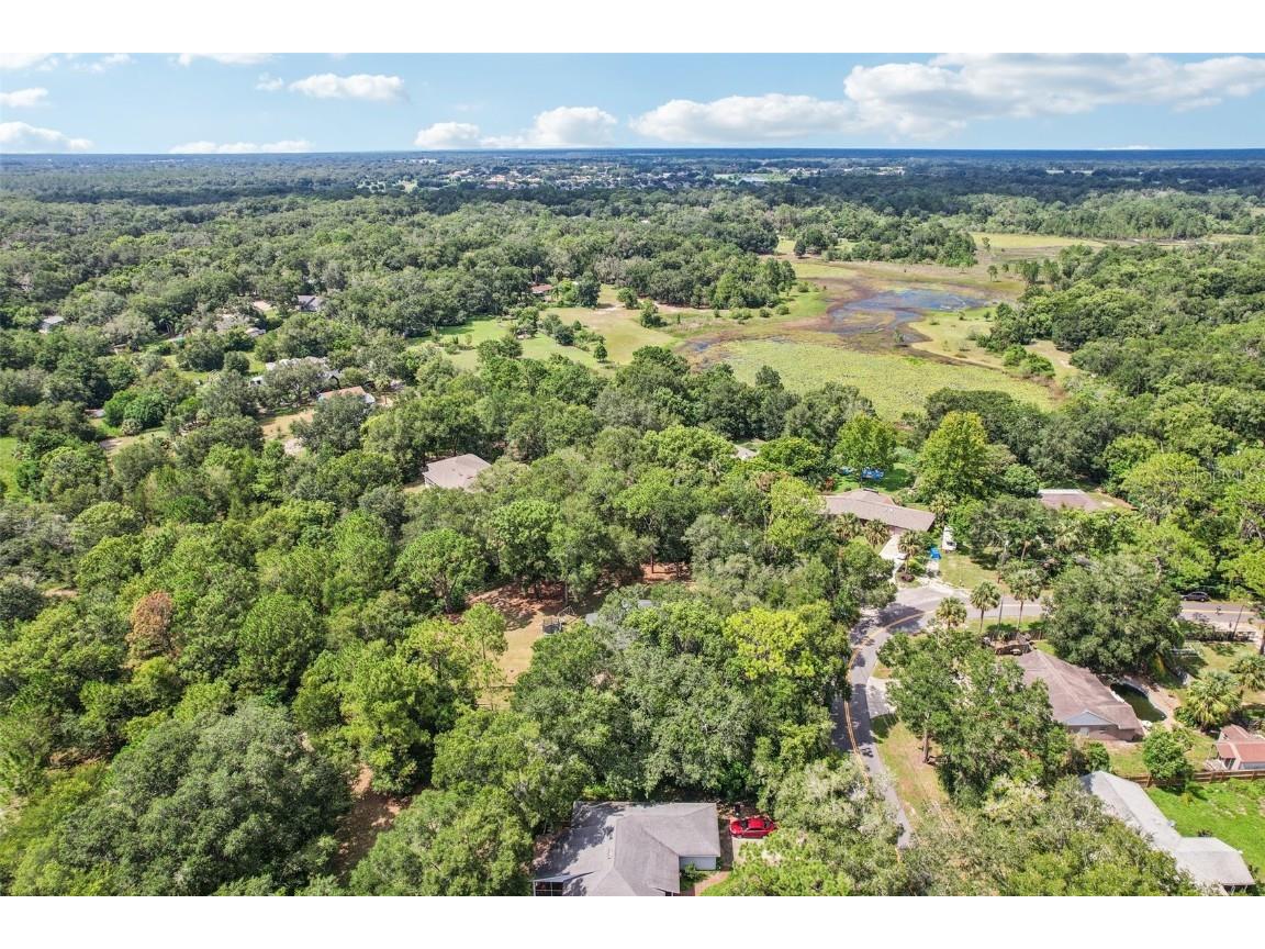 31154 Lochmore Circle Sorrento FL 32776 O6357288 image32