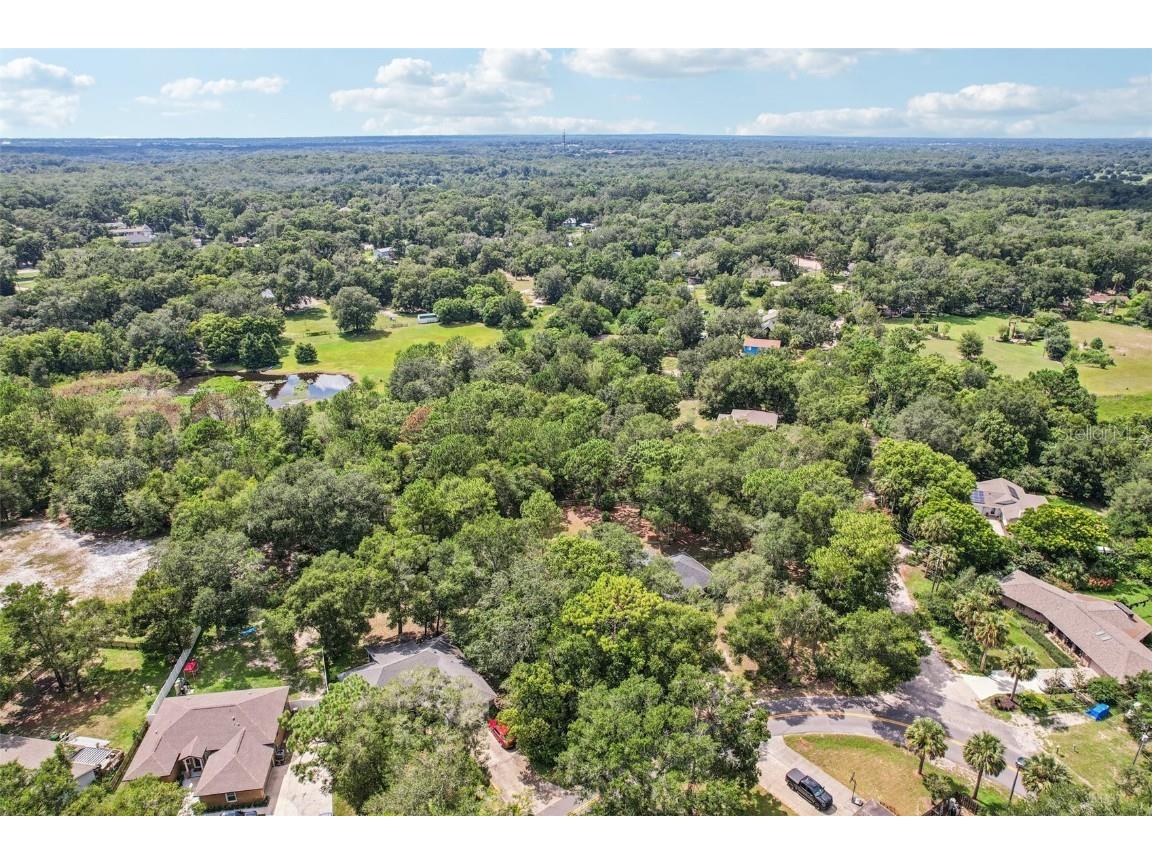 31154 Lochmore Circle Sorrento FL 32776 O6357288 image33