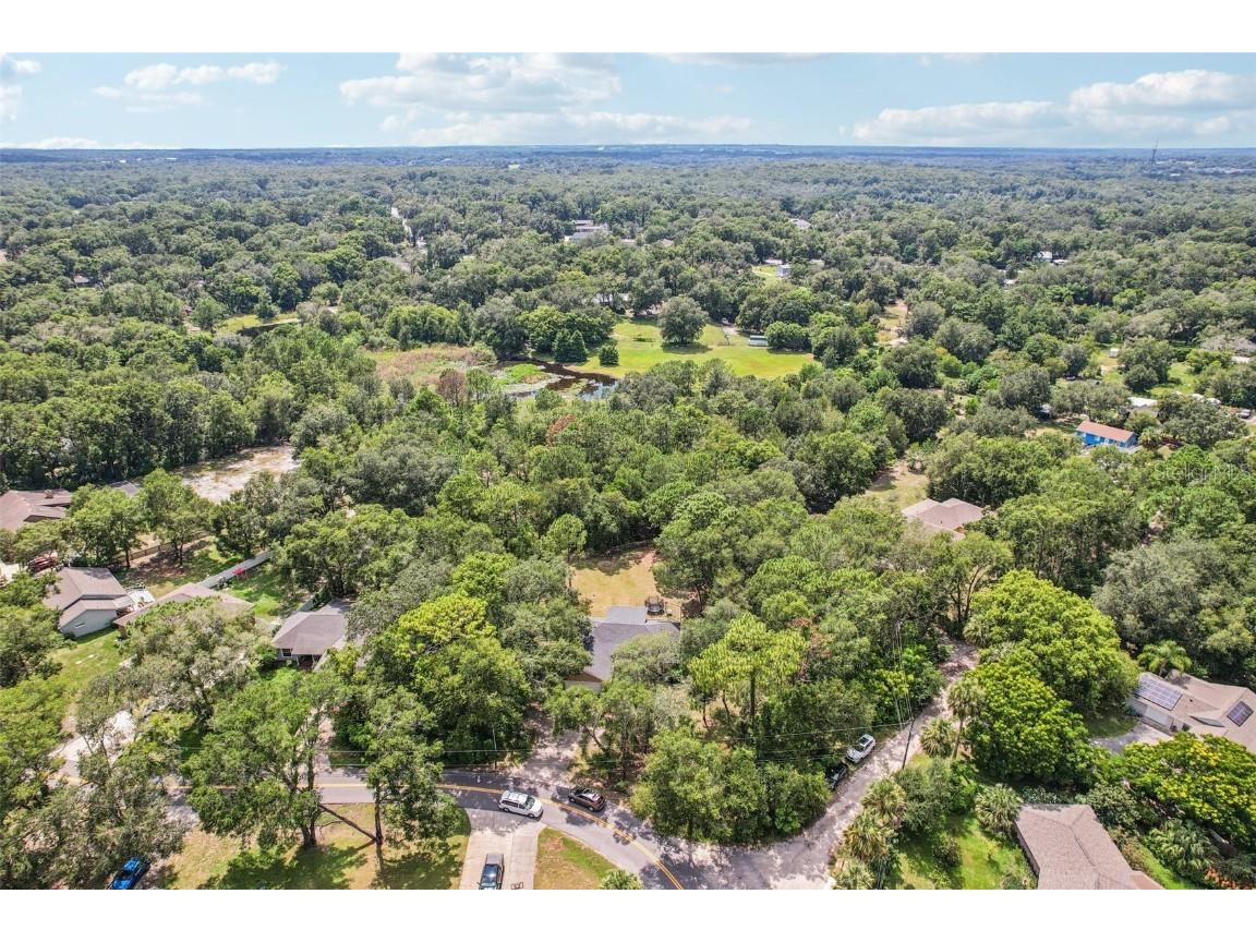 31154 Lochmore Circle Sorrento FL 32776 O6357288 image34