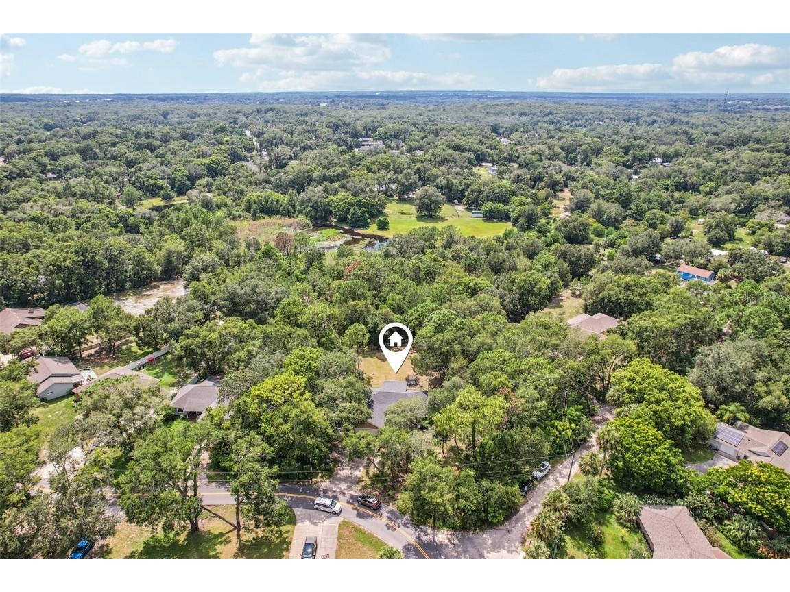 31154 Lochmore Circle Sorrento FL 32776 O6357288 image35