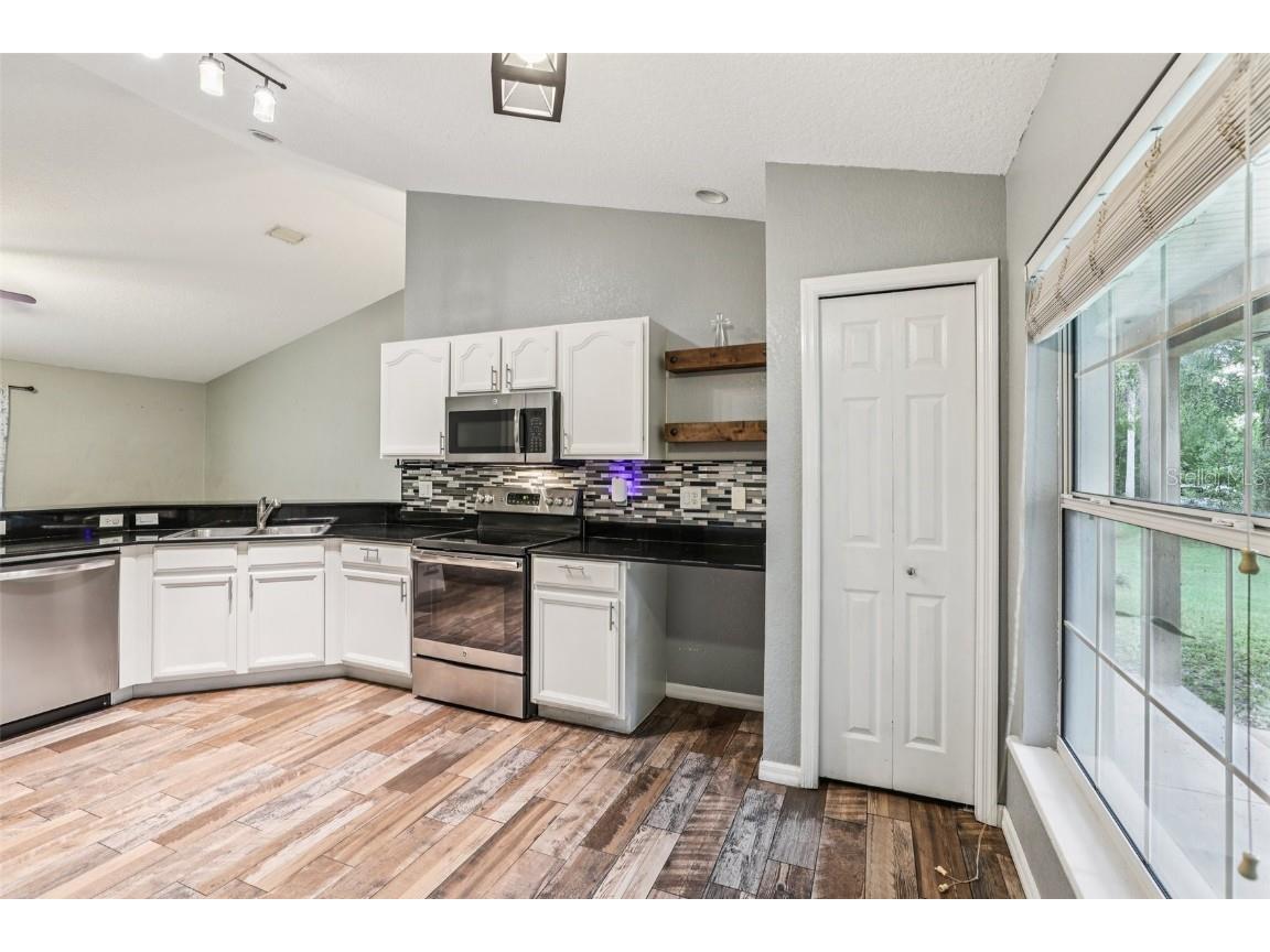 31154 Lochmore Circle Sorrento FL 32776 O6357288 image9