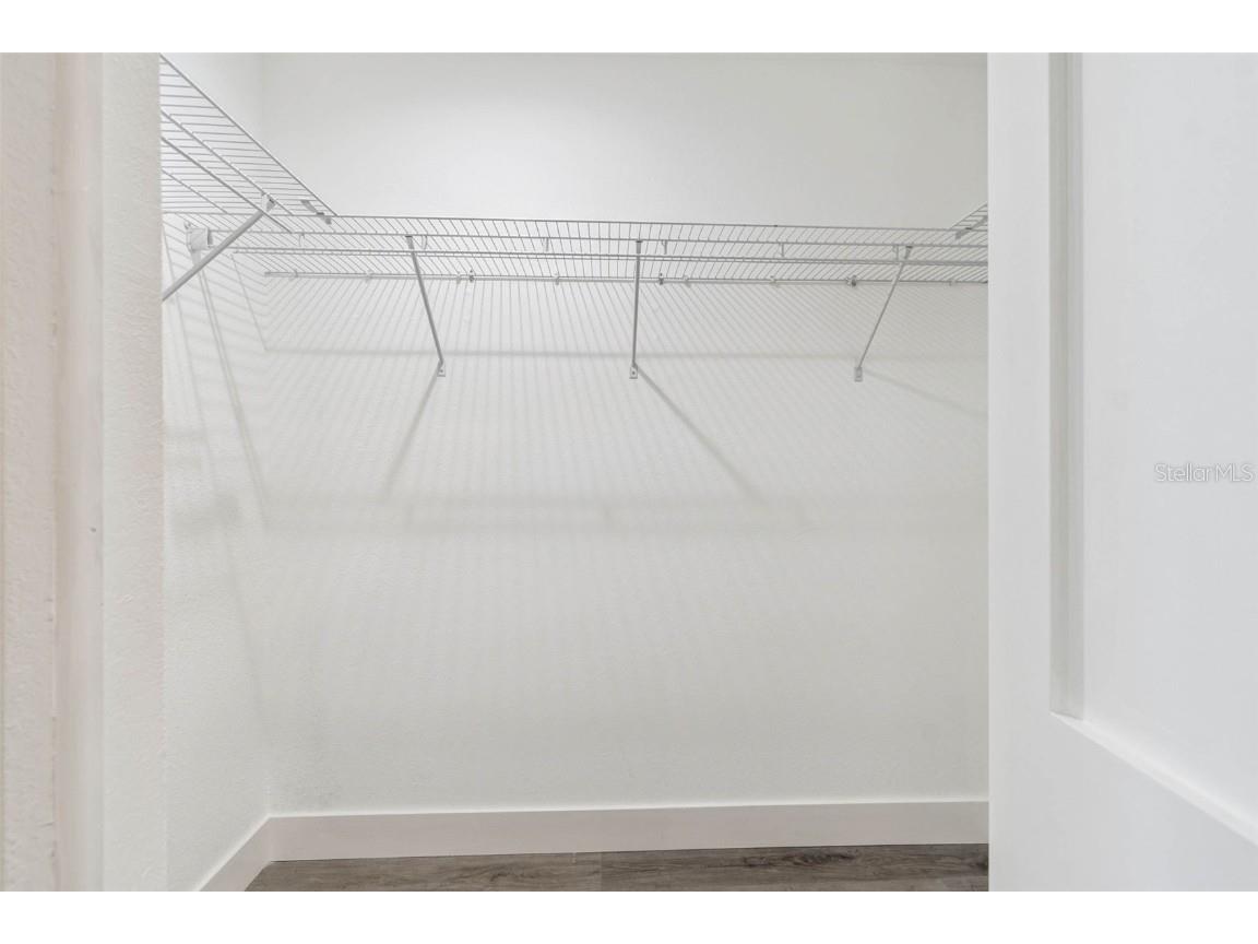 3116 Brunswick Circle Palm Harbor FL 34684 TB8445508 image26