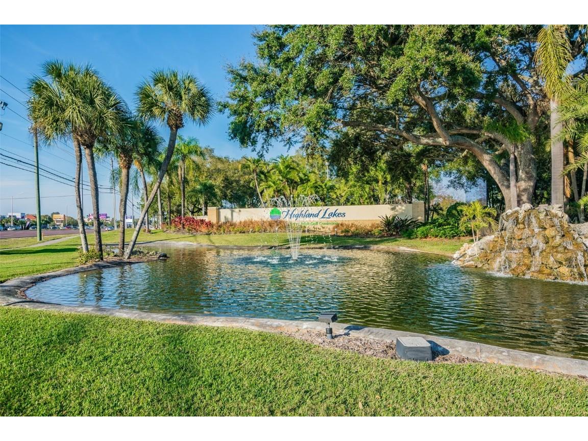 3116 Brunswick Circle Palm Harbor FL 34684 TB8445508 image42