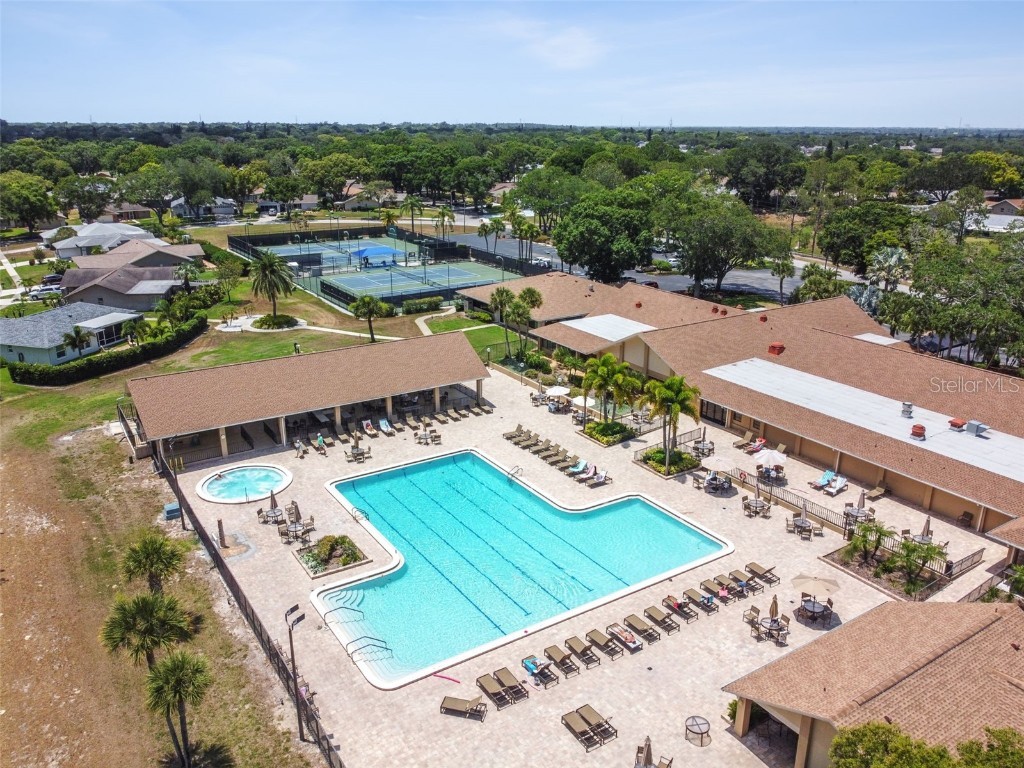 3116 Brunswick Circle Palm Harbor FL 34684 TB8445508 image50