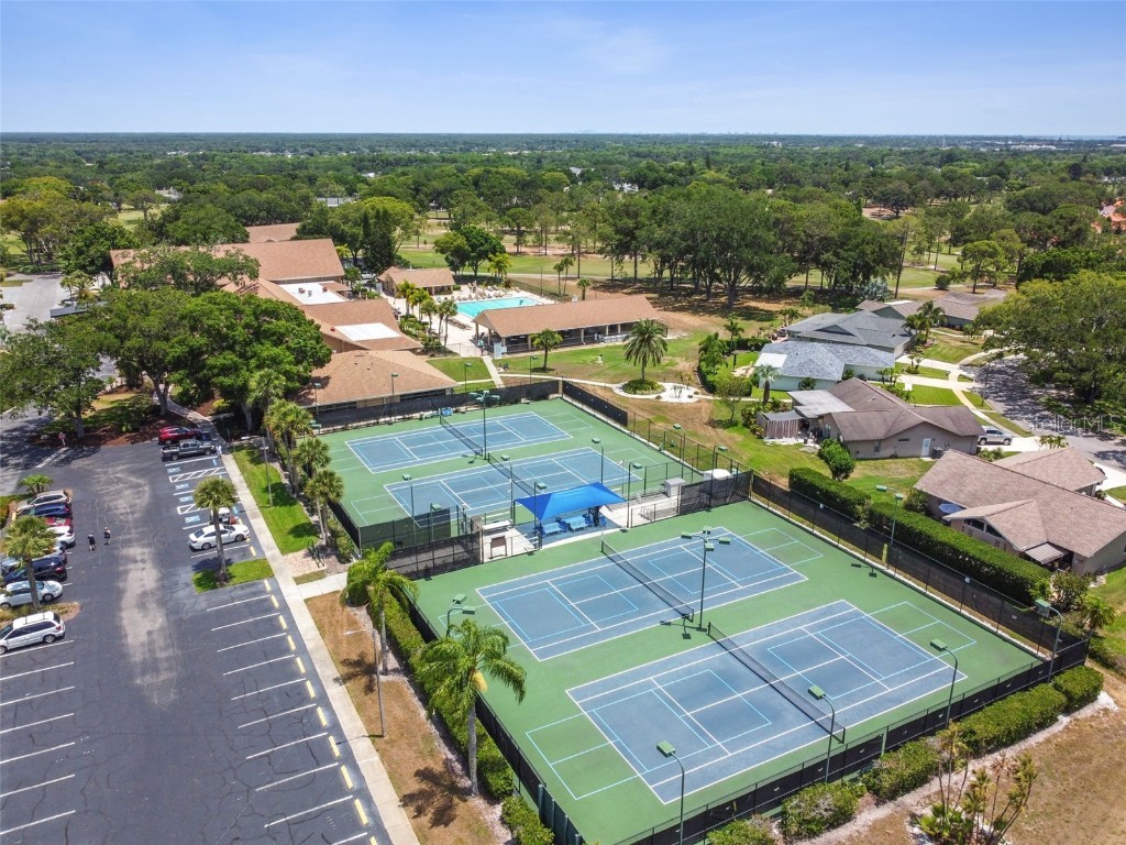 3116 Brunswick Circle Palm Harbor FL 34684 TB8445508 image51