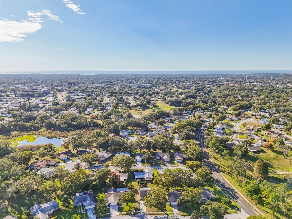 3116 Brunswick Circle Palm Harbor FL 34684 TB8445508 image58