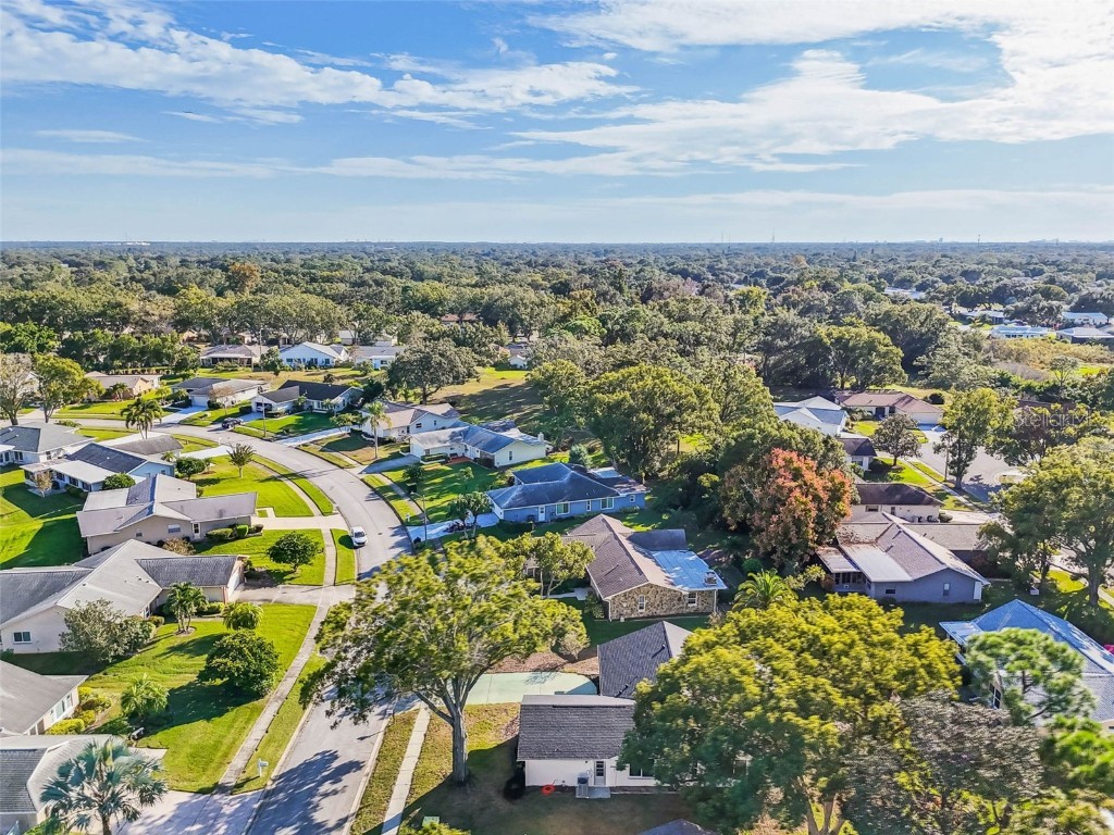 3116 Brunswick Circle Palm Harbor FL 34684 TB8445508 image59