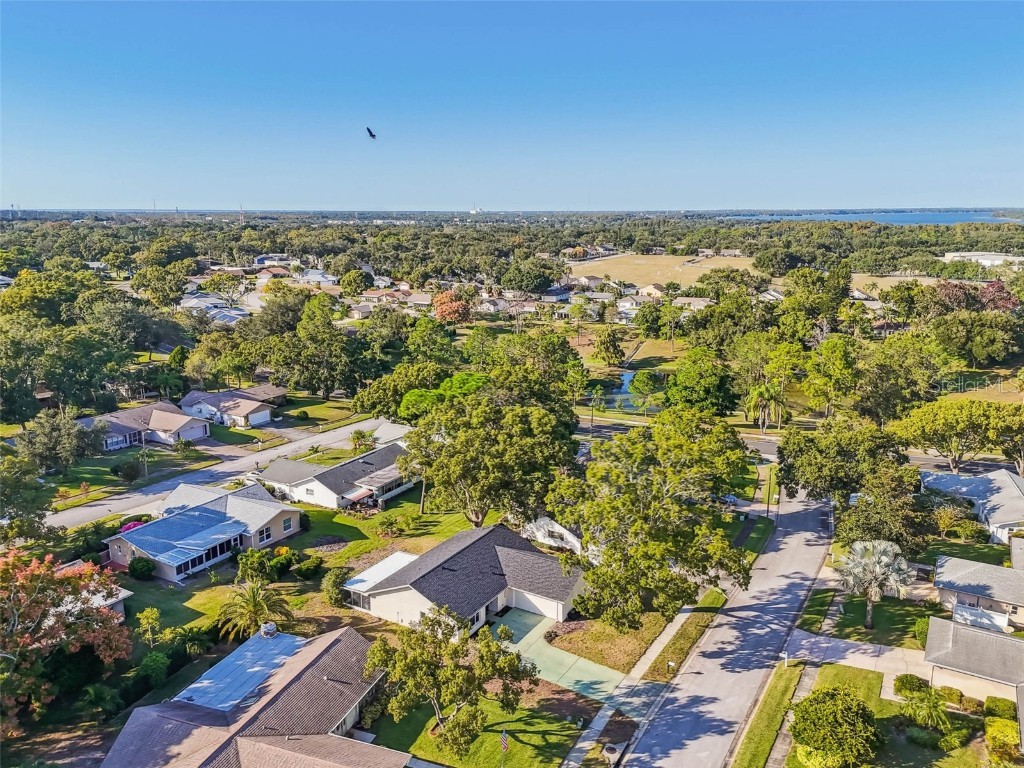 3116 Brunswick Circle Palm Harbor FL 34684 TB8445508 image60