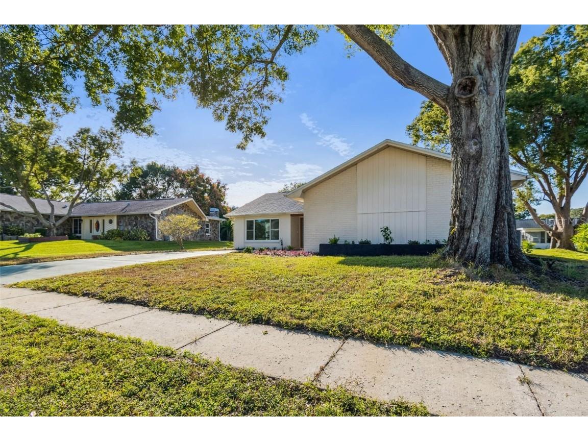 3116 Brunswick Circle Palm Harbor FL 34684 TB8445508 image67
