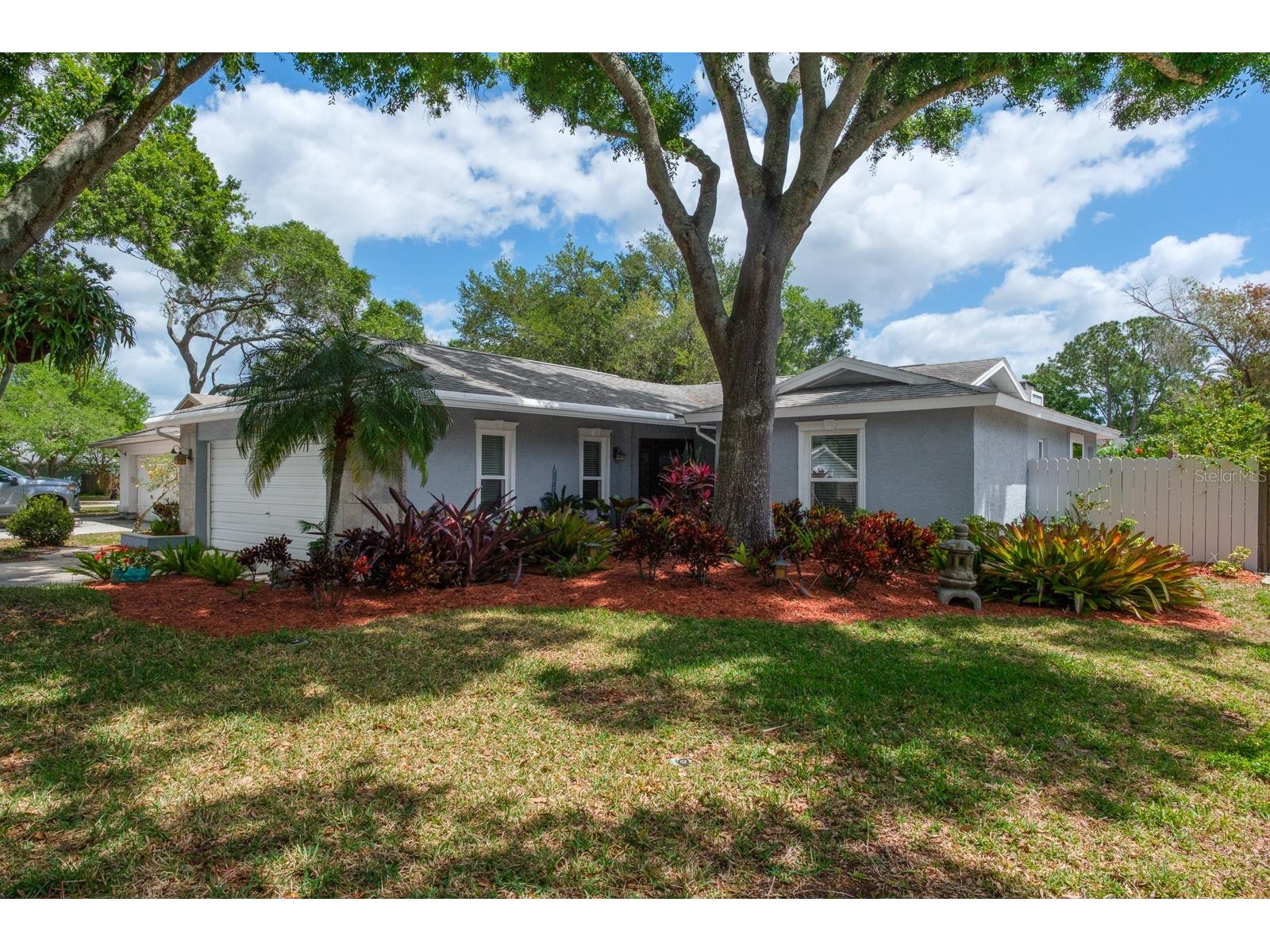 3116 Coventry Lane Safety Harbor FL 34695 TB8497532 image1