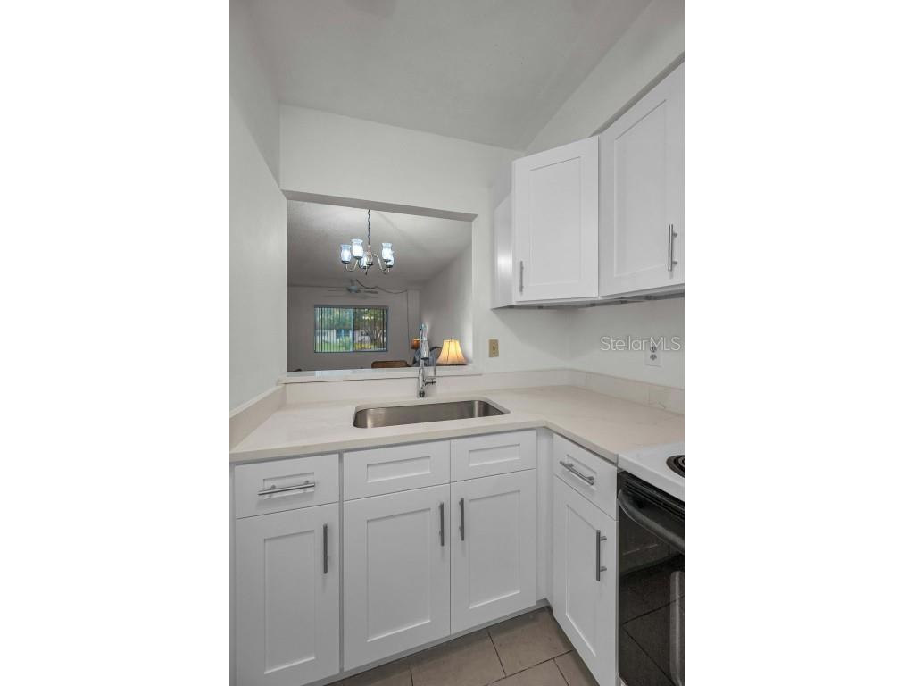 3116 Highlands Boulevard #3116 Palm Harbor FL 34684 TB8419716 image19