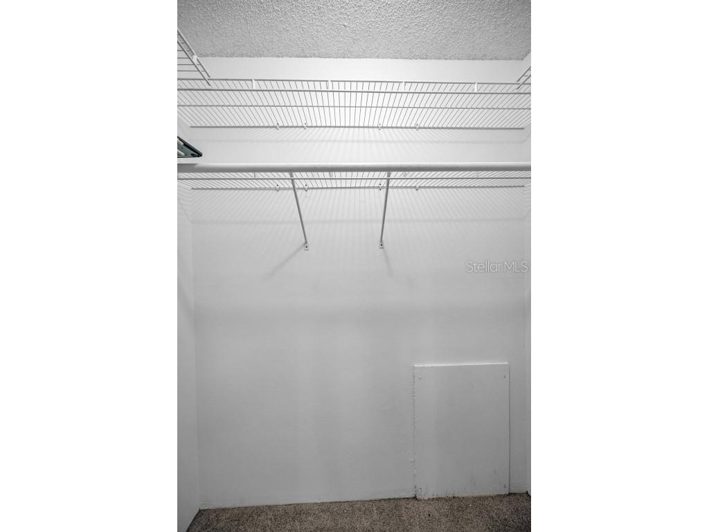 3116 Highlands Boulevard #3116 Palm Harbor FL 34684 TB8419716 image25