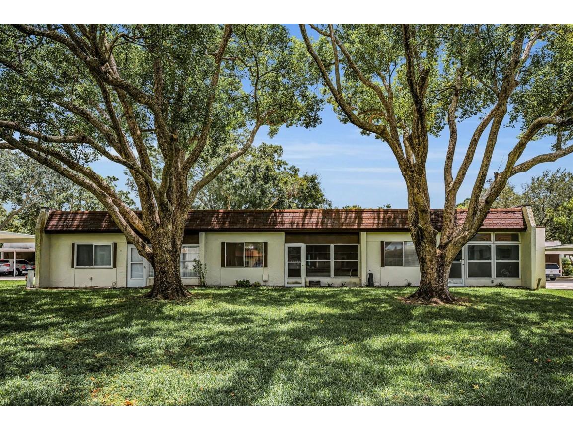 3116 Highlands Boulevard #3116 Palm Harbor FL 34684 TB8419716 image34