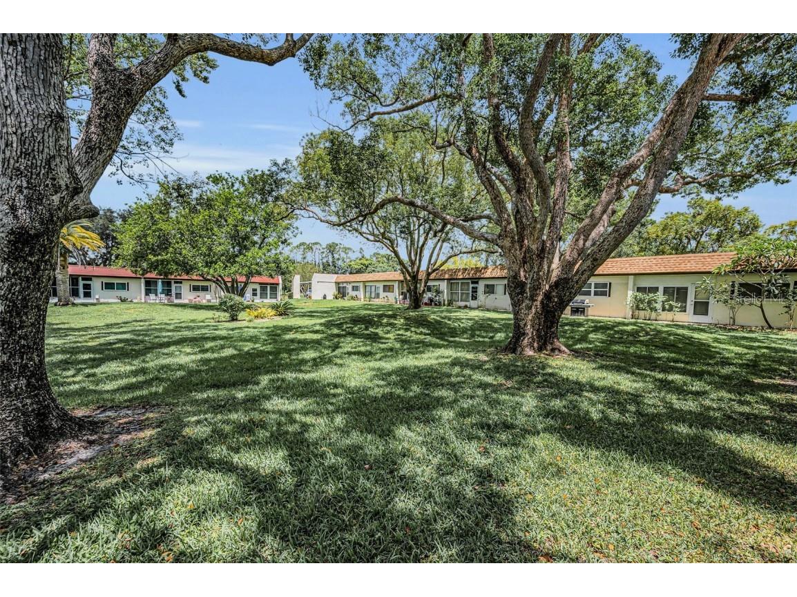 3116 Highlands Boulevard #3116 Palm Harbor FL 34684 TB8419716 image38