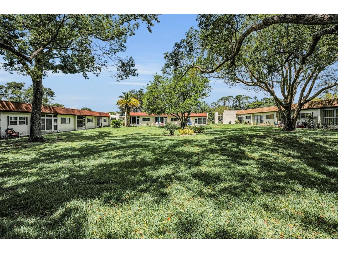 3116 Highlands Boulevard #3116 Palm Harbor FL 34684 TB8419716 image39