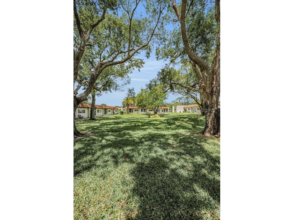 3116 Highlands Boulevard #3116 Palm Harbor FL 34684 TB8419716 image40