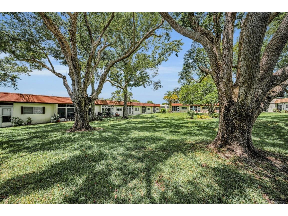 3116 Highlands Boulevard #3116 Palm Harbor FL 34684 TB8419716 image41