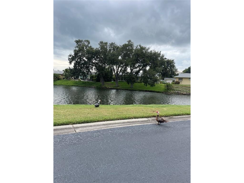 3116 Highlands Boulevard #3116 Palm Harbor FL 34684 TB8419716 image45