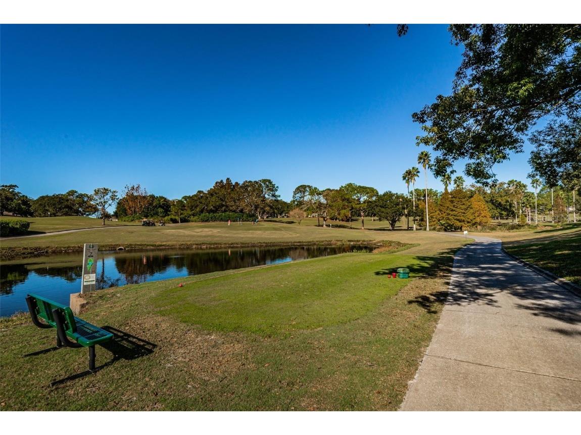 3116 Highlands Boulevard #3116 Palm Harbor FL 34684 TB8419716 image46