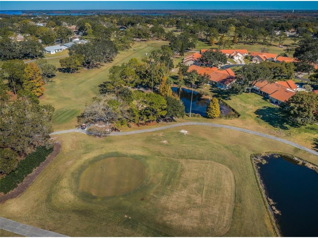 3116 Highlands Boulevard #3116 Palm Harbor FL 34684 TB8419716 image48