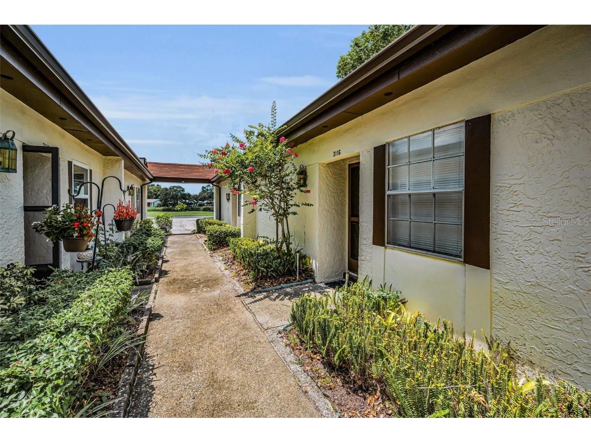 3116 Highlands Boulevard #3116 Palm Harbor FL 34684 TB8419716 image5