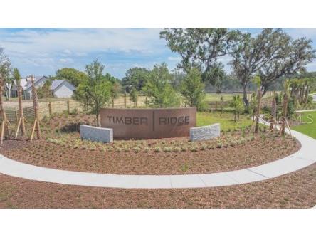 3116 Lumber Falls Drive Plant City FL 33565 TB8483570 image18