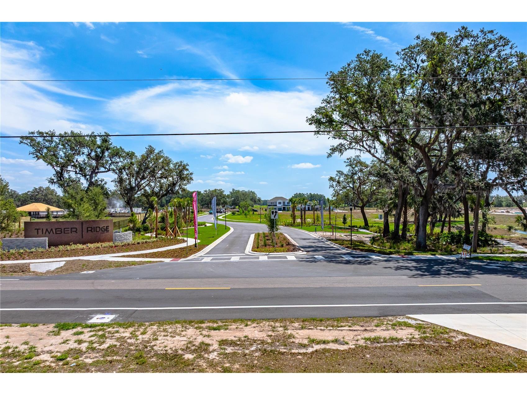 3116 Lumber Falls Drive Plant City FL 33565 TB8483570 image20