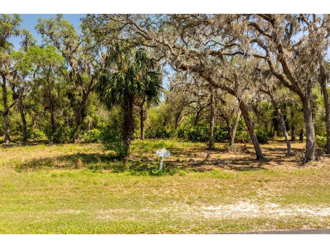 3117 Bright Lake Circle #LOT 63 Groveland FL 34736 G5095650 image1