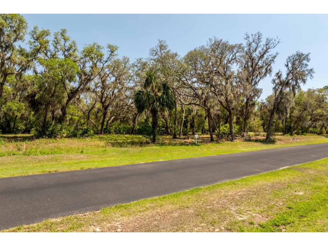 3117 Bright Lake Circle #LOT 63 Groveland FL 34736 G5095650 image10