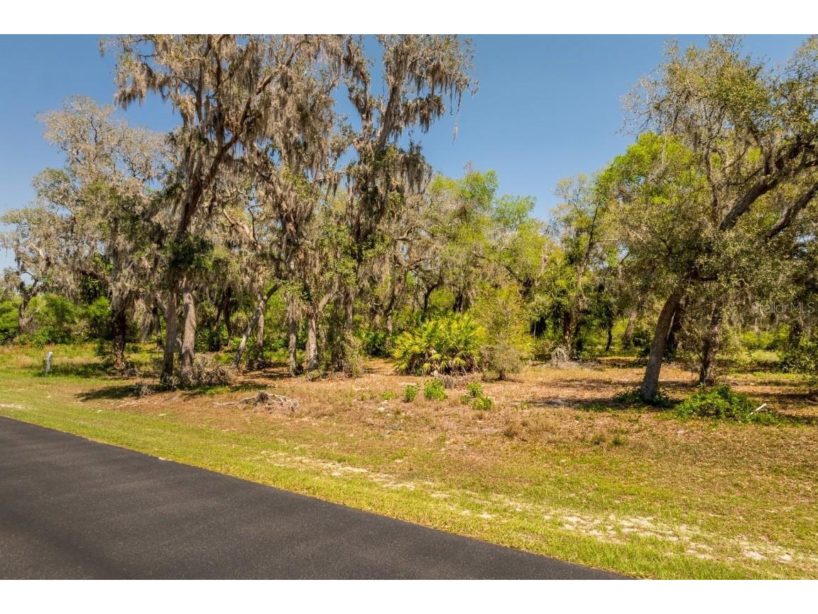 3117 Bright Lake Circle #LOT 63 Groveland FL 34736 G5095650 image11