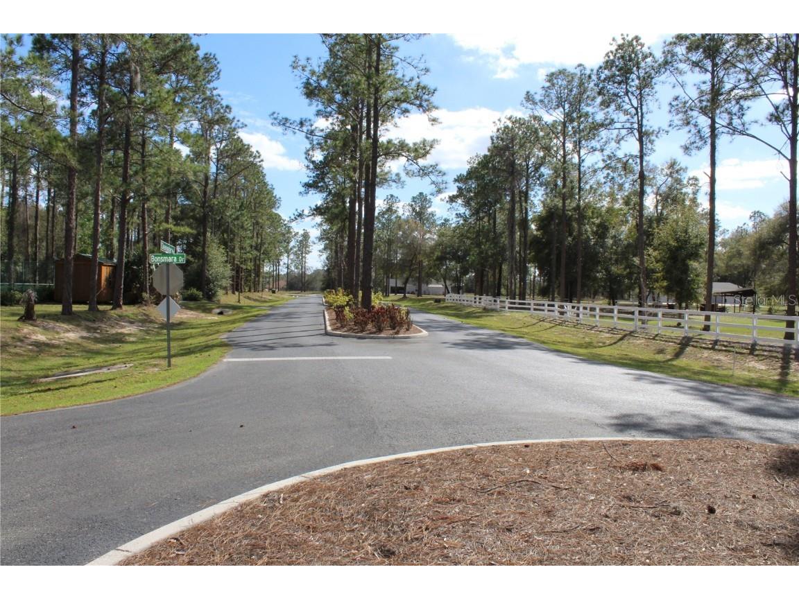 3117 Bright Lake Circle #LOT 63 Groveland FL 34736 G5095650 image18
