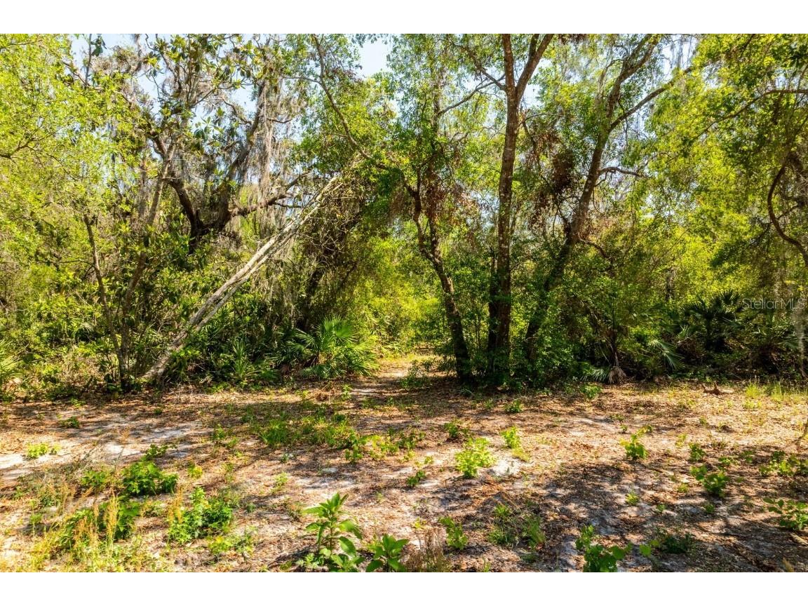 3117 Bright Lake Circle #LOT 63 Groveland FL 34736 G5095650 image2