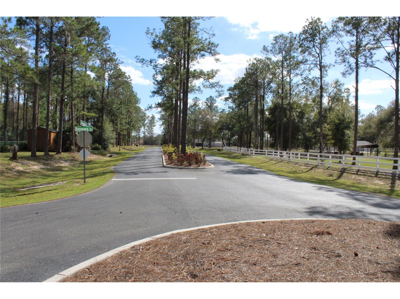 3117 Bright Lake Circle #LOT 63 Groveland FL 34736 G5095650 image23