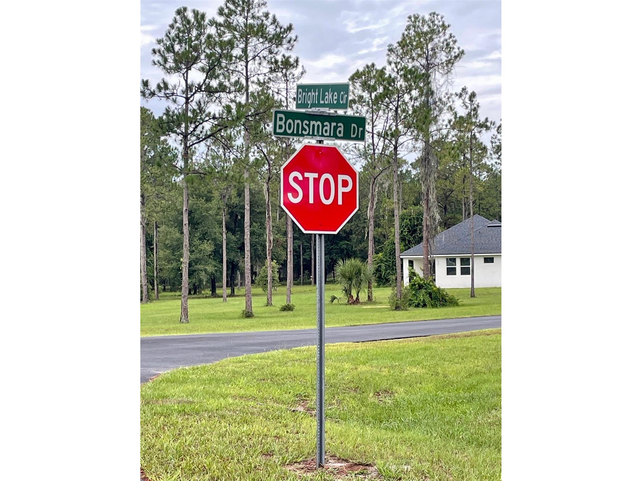3117 Bright Lake Circle #LOT 63 Groveland FL 34736 G5095650 image24