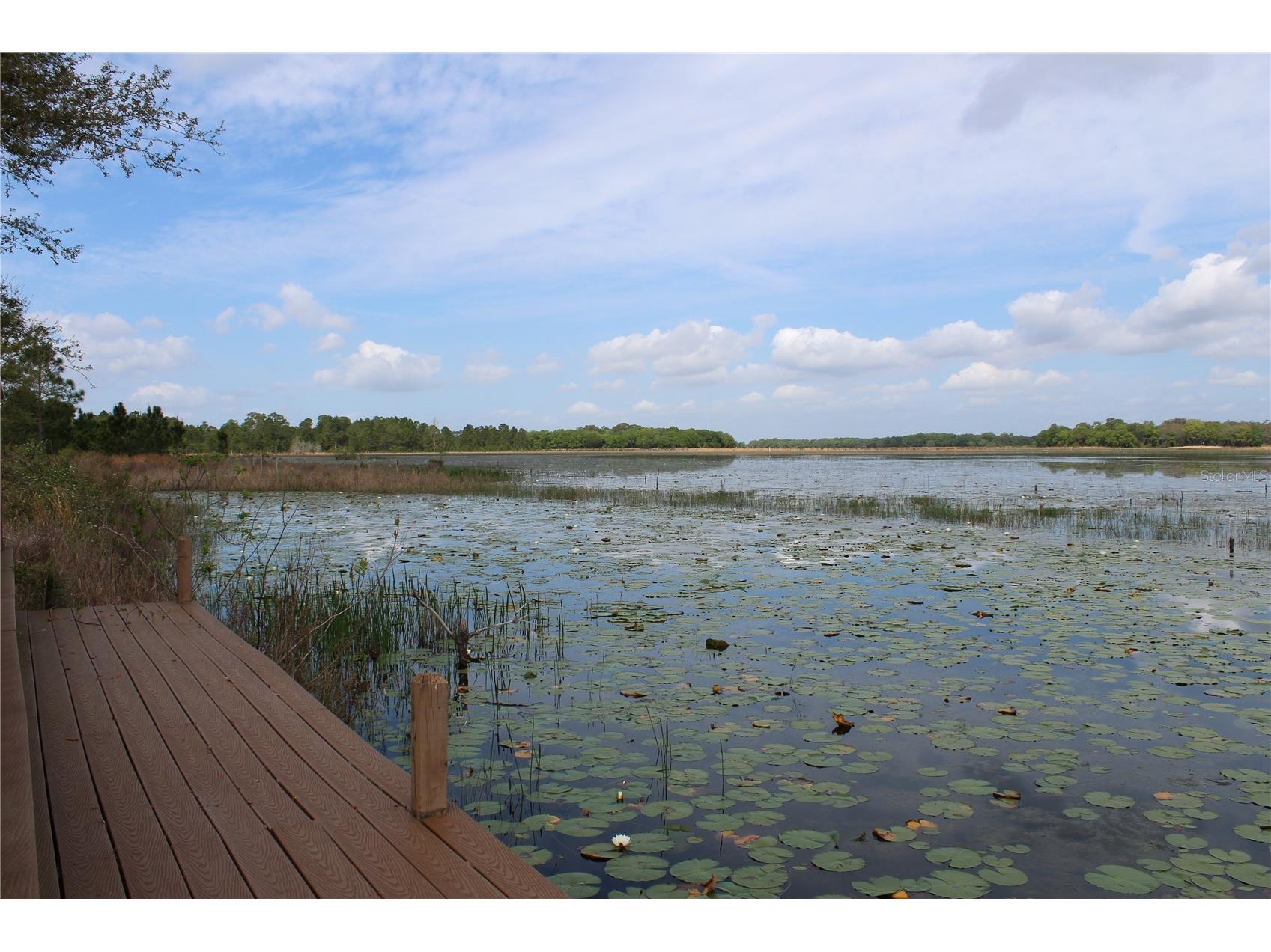 3117 Bright Lake Circle #LOT 63 Groveland FL 34736 G5095650 image26