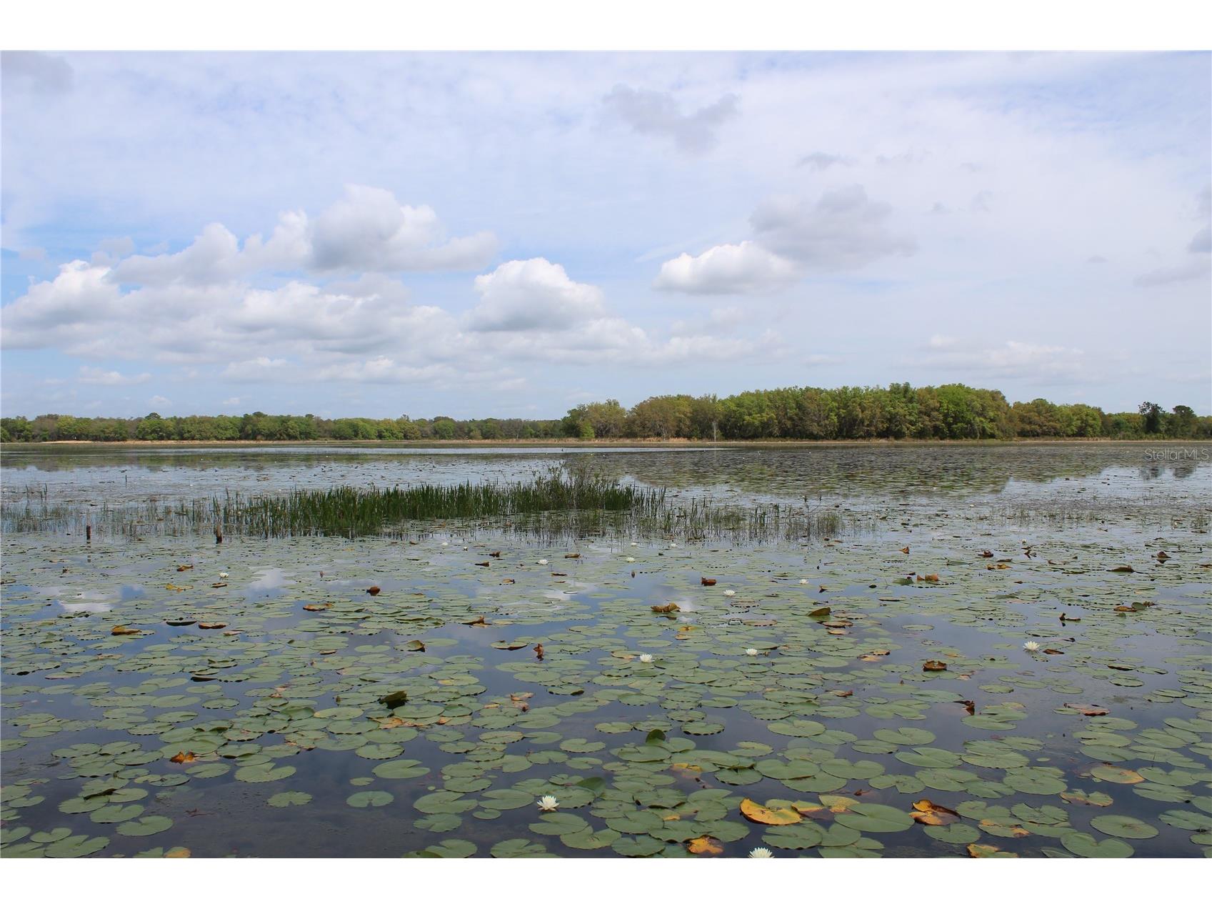 3117 Bright Lake Circle #LOT 63 Groveland FL 34736 G5095650 image27